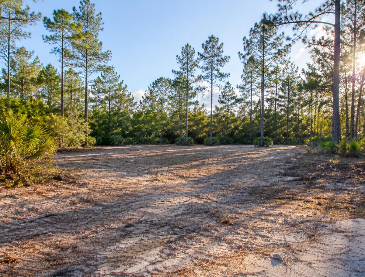 Wooded Homesite